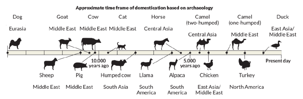 Animal Domestication Timeline