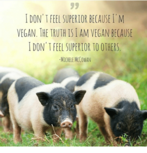 I don't feel superior because I'm vegan. The truth is I am vegan because I don't feel superior to others.